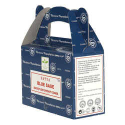 blue sage backflow cones