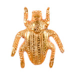 Beetle Gold Knob