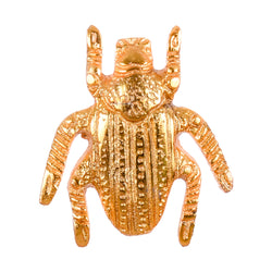 Beetle Gold Knob