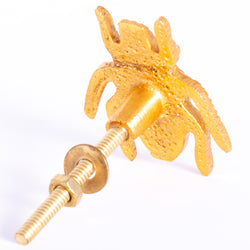 Golden Beetle Metal Drawer Knob